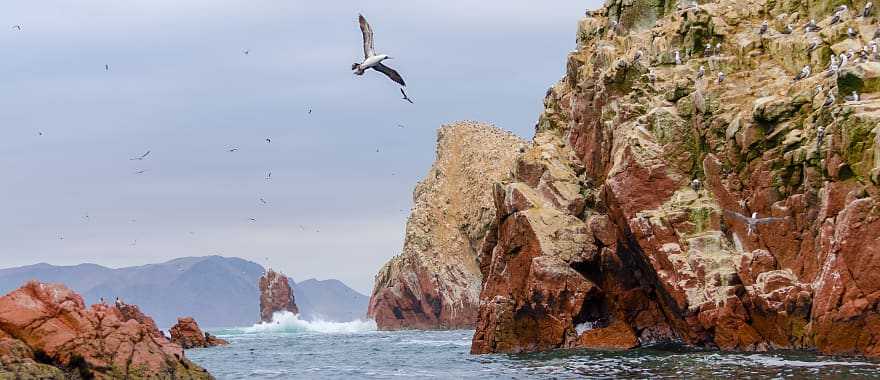 Paracas National Park in Peru.