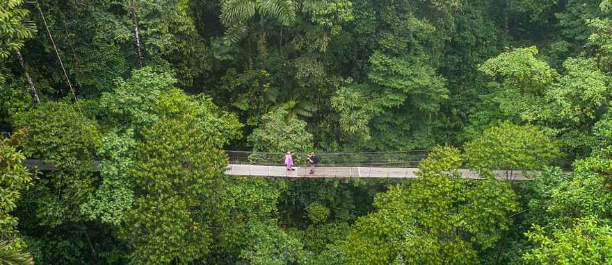 Couple on a suspension bridge among the tropical splendor of Costa Rica