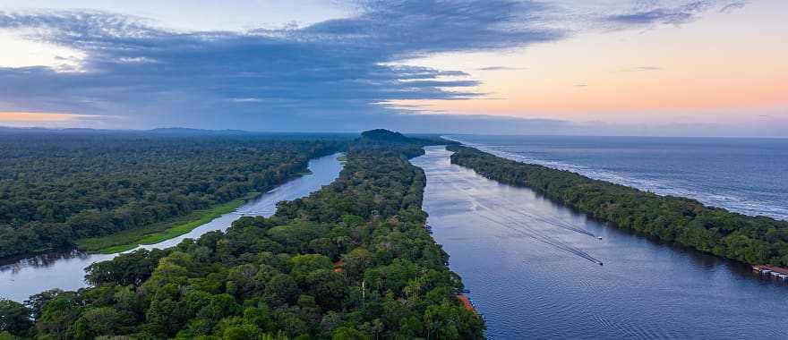 Stunning jungle along the Caribbean coast and the Tortuguero River. Tortuguero National Park, Costa Rica