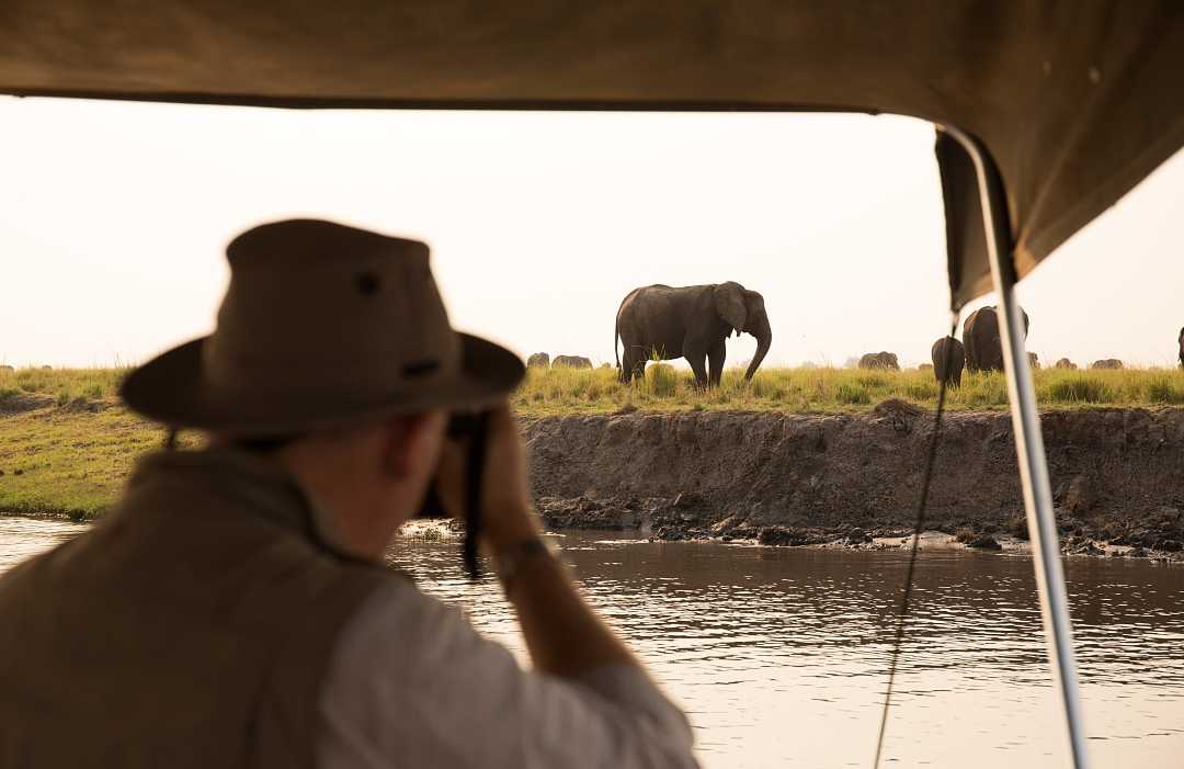 Chobe River in Botswana.